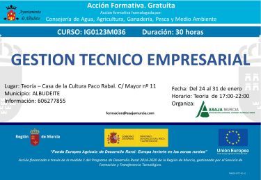 curso gestión técnico empresarial